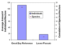 Waterbird Mudflat Use in Lower Passaic River and Great Bay